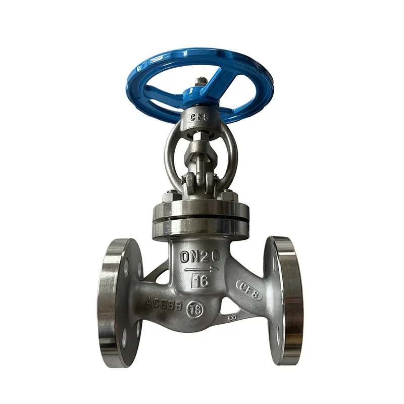 Hard Seal Globe Valve